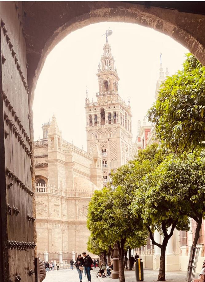 Libertad B